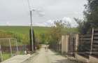 Proprietar: Teren 1.000 mp in Salicea Vanzare directa, Utilitati, Gard si PUZ in Curs (Estimare Aug-Sept) - 2