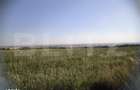 Teren 30.350 mp (600 mp intravilan) ideal investitie, Carcea Metro