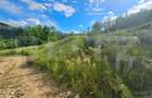 Teren intravilan, 2.000 mp, 2 parcele, zona Lup?a - 6