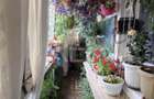 3 camere, bloc 1985, 71mp-Ghencea - 2