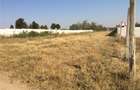 Vand teren 1ha DN65C - Simnicul de Jos str. Gradinari - Craiova - 3