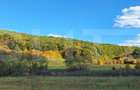 Teren intravilan de vanzare in Bozeni 1.500 m2 | Idea - 2