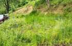 Teren zona de munte 1800 mp, cu apa de izvor, la Somesu Rece - 4