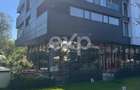 Spatiu Comercial 102 The Address - 4