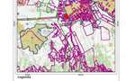 Urgent si ieftin de VINZARE 10 ha teren in comuna VAMA de SATU MARE 10 000 EURO hectarul - 3