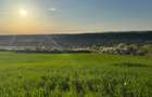 Teren de vanzare in Stanciova, judetul Timis pozitie panoramica - 8