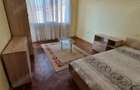 Apartament cu o camera de inchiriat in zona Aradului - 3