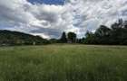 Teren plat-intravilan -3800 mp, cu padurice si iesire la rau! - 14