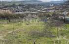 Teren in suprafata de 6300 mp extravilan in Garbau - 7