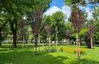 Studio - Bloc Nou - Obor - Avrig - 9