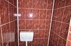 Spatiu comercial/restaurant ultracentral, Siret - 7