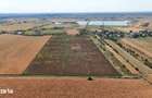 Teren 8.648 mp | Intravilan + extravilan | Deschidere 21 m | Mosteni - 2