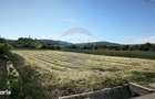 Teren de vanzare Blajel, jud. Sibiu | 15.360 mp - partial intravilan - 6