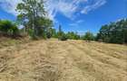 Direct proprietar Vand teren ciurea - 7