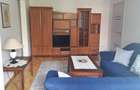 Apartament 2 camere Arad, recent renovat, cartier Vlaicu de inchiriat - 4