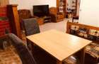 Apartament-Mansarda-Terezian - 7
