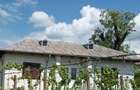 Vand casa comuna Nufaru,jud Tulcea - 4