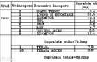 Duplex cu perete dublu, 3 camere si 2 bai, la cheie in Calea Urseni - 3