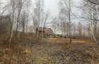 Teren intravilan 520 mp Valea Avrigului ideal cabana A-frame - 3
