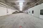 Hale noi in Baicoi, Ph--13.000mp--3e - 3