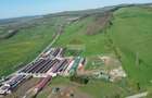 Teren de vanzare sau inchiriat 19ha intravilan, Agnita,Sibiu - 5