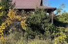 Casa de vanzare in jud Calarasi sat Nucetu - 5
