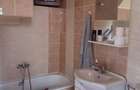 Vand teren 2400 mp si casa de vacanta in comuna Borsa Cluj - 2