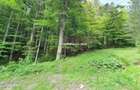 Teren intravilan de vanzare in Sinaia - Zona Furnica - 3