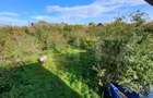 Teren intravilan de 18927 mp, Hala P+1 250 mp, Ocna Mures - 6