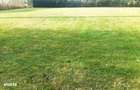 Teren intravilan, Front 31m, Salicea - 4
