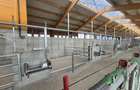 Ferma de bovine de inchiriat, 1900 mp, zona Lazuri