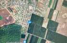 Teren -intravilan Dascalu , 18000 m /17€ m2  - 7