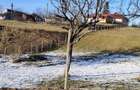 Proprietar vand teren intravilan in satul Remecioara la 19Km de BM, toate utilita?ile, drum asfaltat - 3