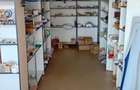 vand casa in Tarpesti cu spatiu comercial la parter - 5