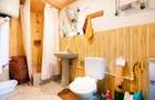 Cabane cu 10 camere Arieseni - 8
