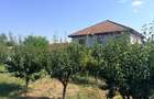 Casa P+1+M cu 3.500 m teren, livada ?i dependin?a locuibila Casicea, jud. Constan?a - 3