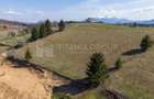 Teren Intravilan 3.791 mp | Priveli?te Panoramica Superba | Poiana Mar - 14