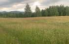 Vanzare teren intravilan 9200 mp - 6