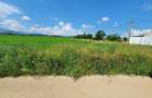 Teren Brasov Sanpetru Livada zona de case - 2