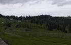 Teren 14.485 m.p. - Iacobeni, Suceava - 4