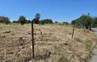 Teren Giulesti, Sector 6, Strada Poiana Lacului, Suprafata 5000 mp - 1