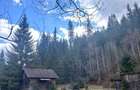 Teren in Dorna Arini, aproape de Vatra Dornei si Rarau. - 13