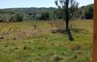 Vand casa + teren 5500mp Cacica, Langa Suceava sau schimb ap.Bucuresti - 8