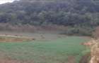 Vand teren intravilan foarte mare, 6700m2 in loc. Buceava, Com. Gurahont