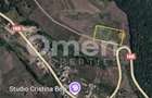 Teren intravilan de vânzare 7.000 mp – Groși, spre Dumbrăvița