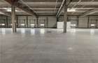 Spatiu Industrial - 3500 mp - Productie - Depozitare - Distributie - 1