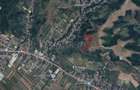 Teren terasat vie defrisata Stefanesti Arges - Crama Marcea - 2