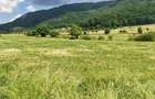 Teren intravilan - padure de agrement - in Brasov. - 1