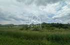 Teren Intravilan 1.493 mp| toate utilitatile| zona Teleac - 1