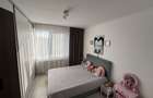 Apartament cu 3 camere decomandat în Nufărul - 6